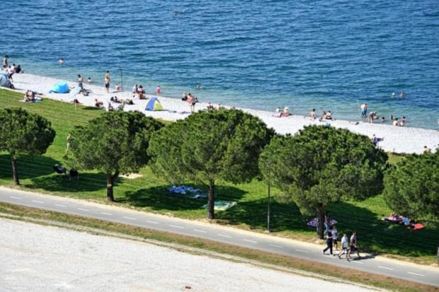 Apartma Pingo *