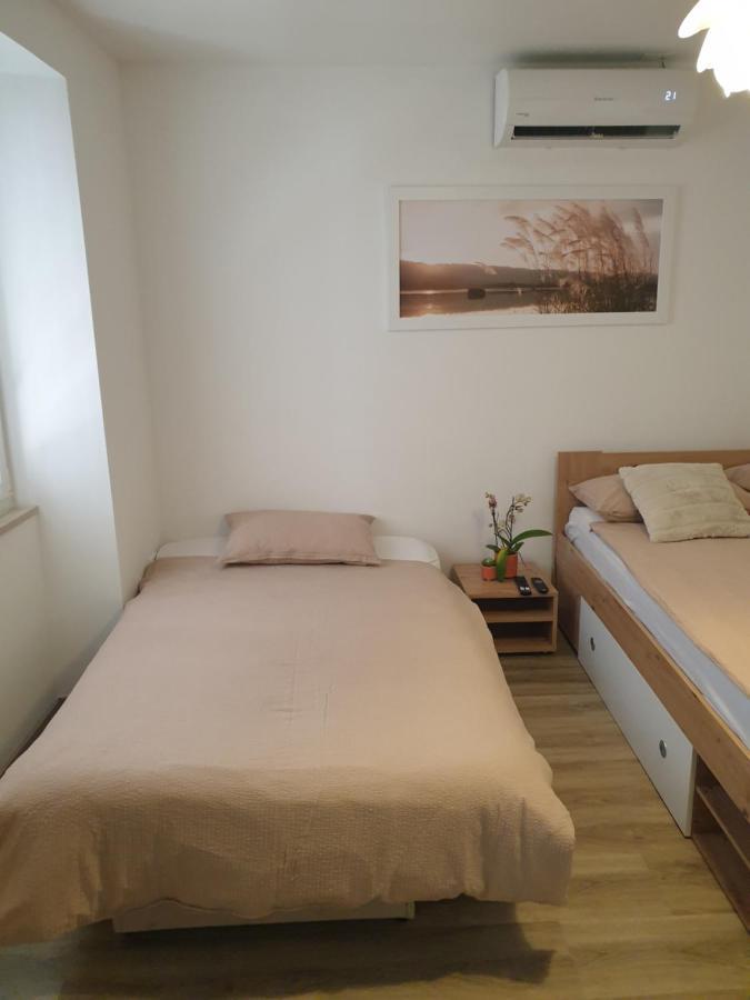 Apartma Pingo